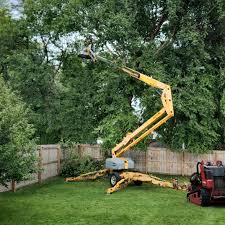 Best Emergency Tree Removal  in Lewisburg, PA